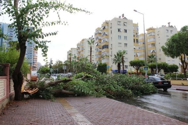 Antalya’da sağanak ve rüzgar etkili oldu! Ağaçlar devrildi, yollar göle döndü - Resim: 2