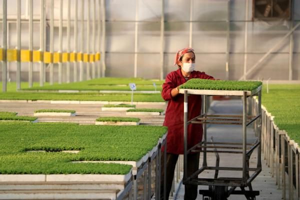 Zonguldaklı tesisatçı ihtiyacını karşılamak için bu işe başladı! Şimdi ülkenin dört bir yanına yolluyor - Resim: 4