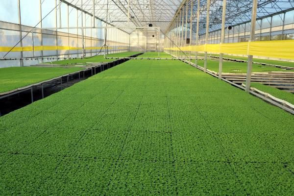 Zonguldaklı tesisatçı ihtiyacını karşılamak için bu işe başladı! Şimdi ülkenin dört bir yanına yolluyor - Resim: 3