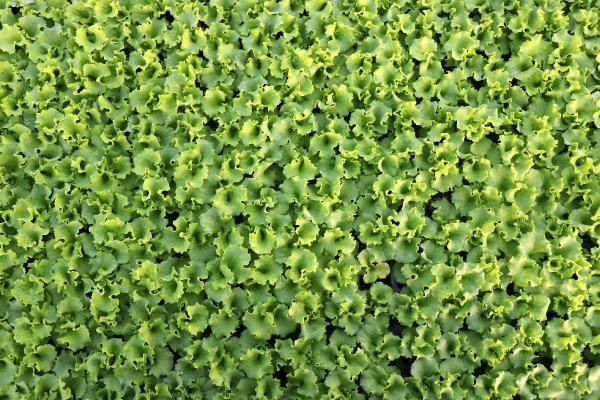 Zonguldaklı tesisatçı ihtiyacını karşılamak için bu işe başladı! Şimdi ülkenin dört bir yanına yolluyor - Resim: 2