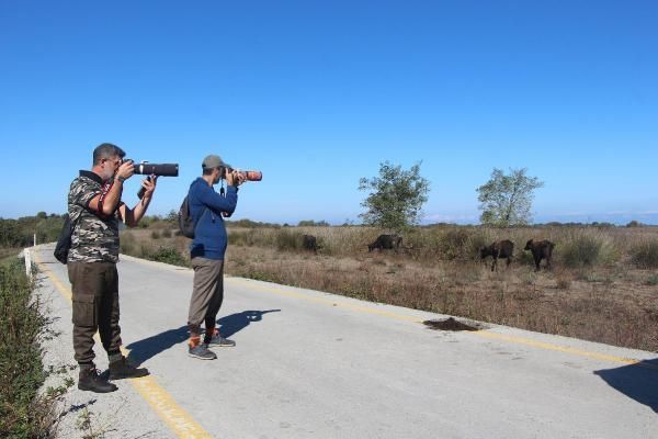 Samsun'da gören bir daha baktı! Türkiye’de 4’üncü kez görüldü - Resim: 1