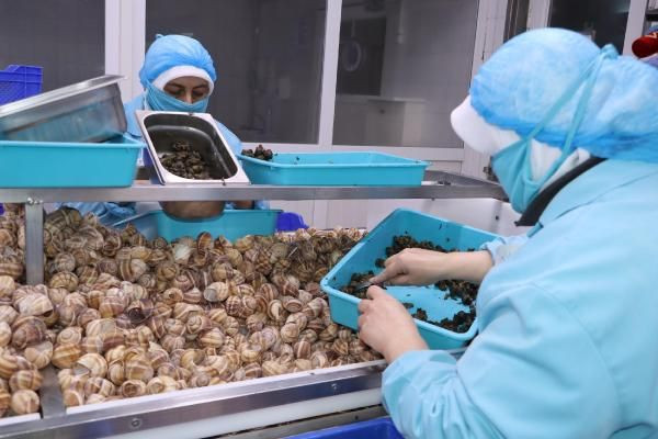 Bilecik'te yapılıyor dünyaya ihraç ediliyor! Porsiyonu 750 TL - Resim: 3