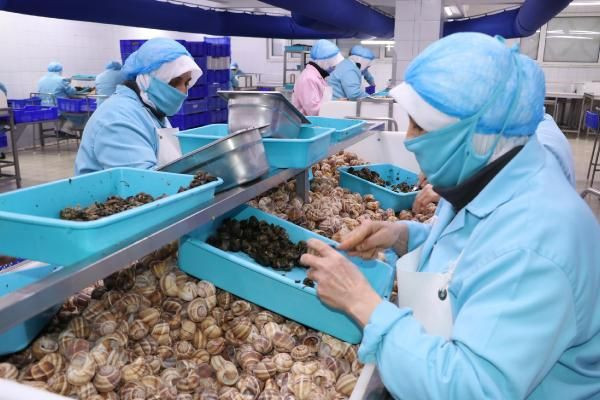 Bilecik'te yapılıyor dünyaya ihraç ediliyor! Porsiyonu 750 TL - Resim: 1