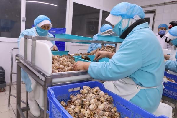 Bilecik'te yapılıyor dünyaya ihraç ediliyor! Porsiyonu 750 TL - Resim: 4