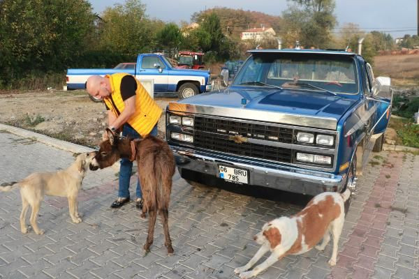 Samsun'da bu lokantayı görenler gözlerine inanamadı! 5 milyon lira harcadı - Resim: 3