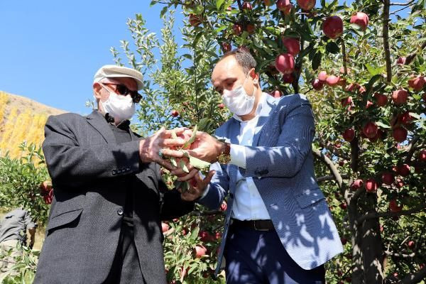 Van'da herkes 'yapamazsın' dedi! Azmetti başardı bu hale getirdi - Resim: 1