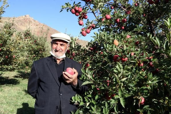 Van'da herkes 'yapamazsın' dedi! Azmetti başardı bu hale getirdi - Resim: 4