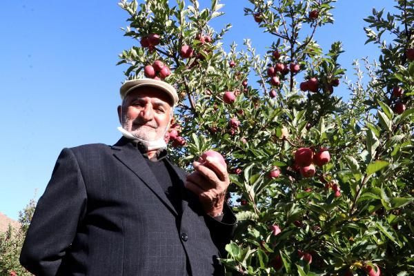 Van'da herkes 'yapamazsın' dedi! Azmetti başardı bu hale getirdi - Resim: 3