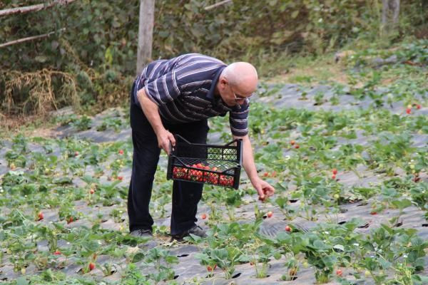 Eşini dinlemedi Artvin'de üretti şimdi siparişlere yetişemiyor! - Resim: 1