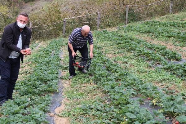 Eşini dinlemedi Artvin'de üretti şimdi siparişlere yetişemiyor! - Resim: 2