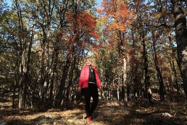 Türkiye'de tek! Isparta'daki bu ormana randevusuz girilmiyor - Resim: 1