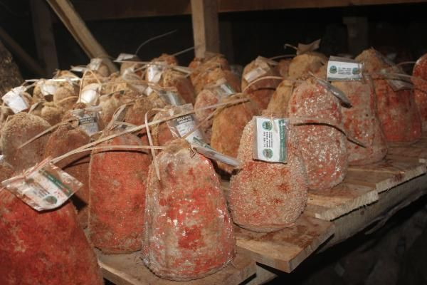 Karaman'da 36 metre derinliğinde 5 ay bekletiliyor! Fiyatı şaşırttı - Resim: 2