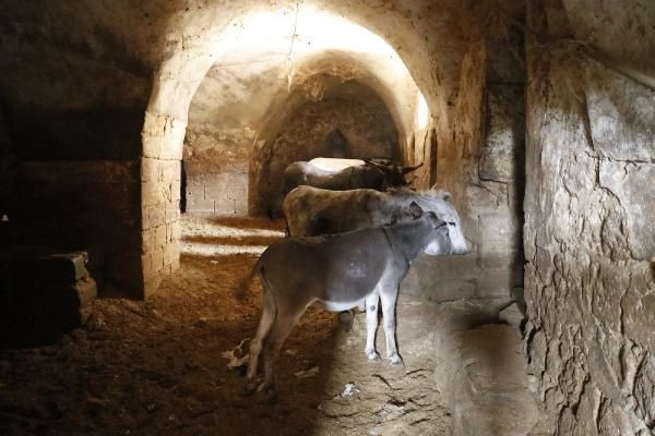 Mardin'in bütün çöpü onların sırtında! 7 yılda emekli oluyorlar - Resim: 4