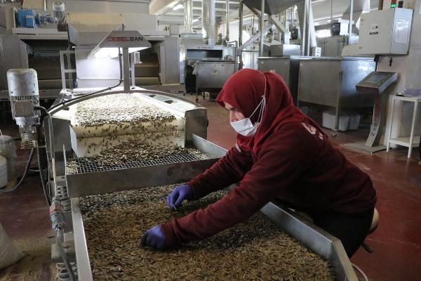 Yılbaşına kadar 24 saat mesai! Kuru yemişte talep patlaması! - Resim: 2