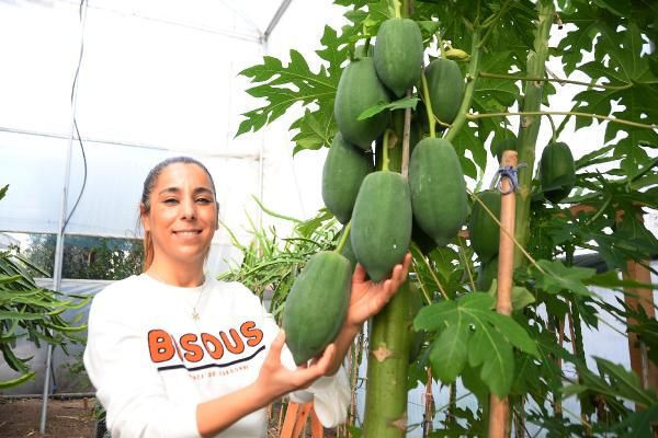 İspanya'dan Mersin'e getirip üretime başladı! Şimdi paraya para demiyor - Resim: 4