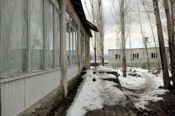 Hakkari'de yılanlar evi istila etti aile kabusu yaşadı! İlk kez... - Resim: 3