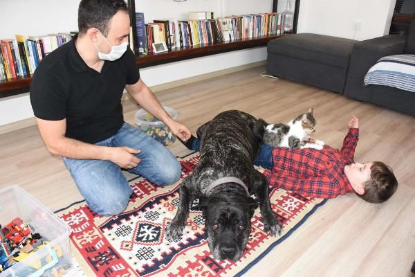 Oğluyla Türkçe konuştu diye velayet İtalyan anneye verildi! Türk babanın 'Yiğit' mücadelesi - Resim: 2