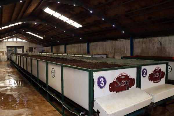 Kuraklık en çok onlara yaradı! Gaziantep'te talep patladı satışlar arttı - Resim: 3