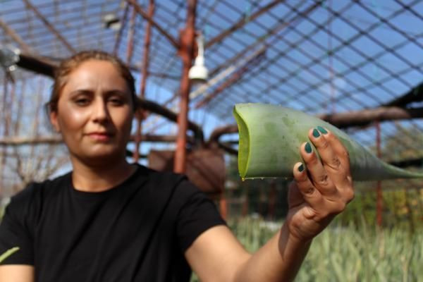 3 yıl bekledi şimdi paraya para demiyor! Türkiye'de bir ilki Antalya'da gerçekleştirdi - Resim: 4