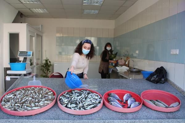 Onları gören şaşırıyor! Artvinli kız kardeşler 'erkek işi' diyenler dönüp dönüp bakıyor - Resim: 2