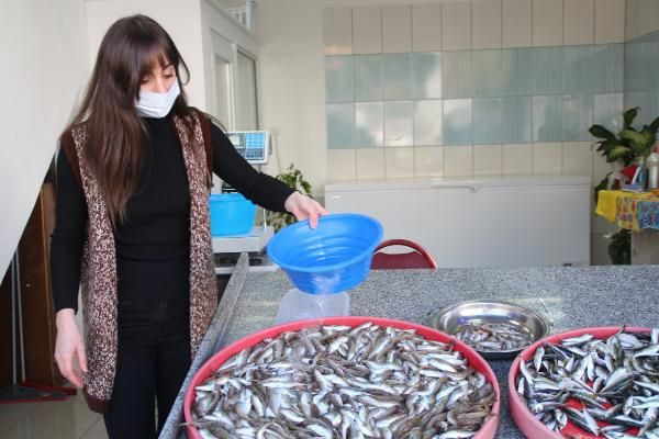 Onları gören şaşırıyor! Artvinli kız kardeşler 'erkek işi' diyenler dönüp dönüp bakıyor - Resim: 4