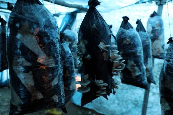 Hobi olarak bu işe başladı paraya para demiyor! Gaziantep'e sipariş yağıyor - Resim: 2