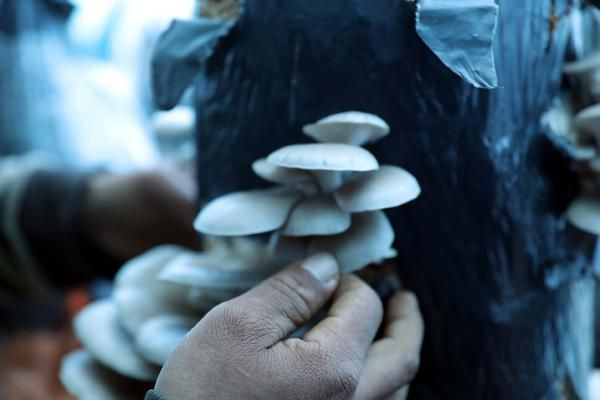 Hobi olarak bu işe başladı paraya para demiyor! Gaziantep'e sipariş yağıyor - Resim: 3