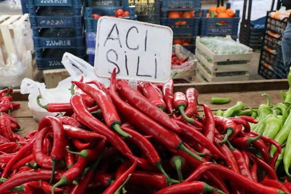 Şanlıurfa'da kente özgü biberler tükendi! Antalya'dan 'Şili biberi' takviyesi yapıldı - Resim: 2