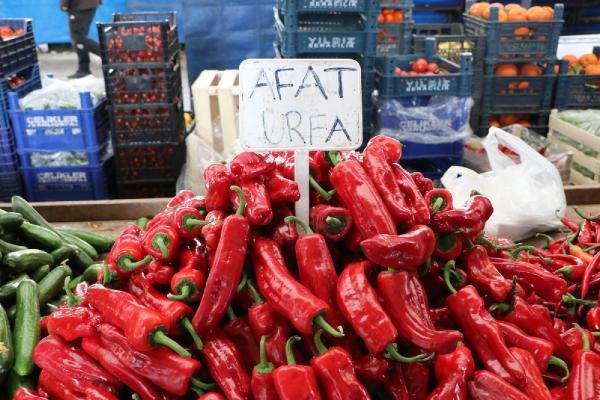 Şanlıurfa'da kente özgü biberler tükendi! Antalya'dan 'Şili biberi' takviyesi yapıldı - Resim: 3