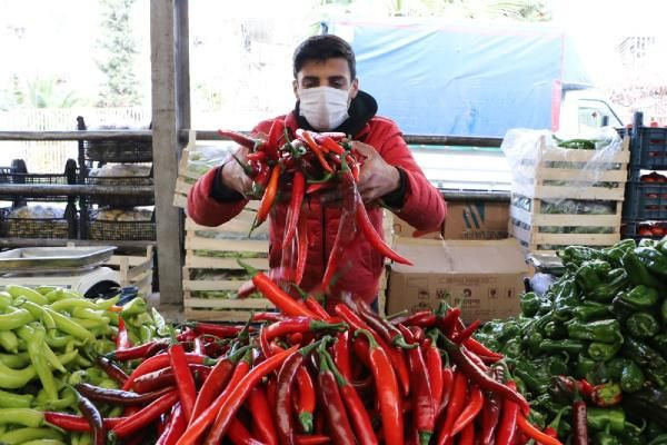 Şanlıurfa'da kente özgü biberler tükendi! Antalya'dan 'Şili biberi' takviyesi yapıldı - Resim: 4