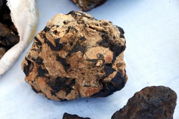 Çobanın başına talih kuşu kondu! Tokat'ta dudak uçuklatan fiyata satıyor - Resim: 2