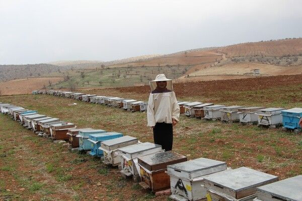 Siirt'te 40 taneyle başladı 300'e çıkardı! Taleplere yetişemiyor - Resim: 2