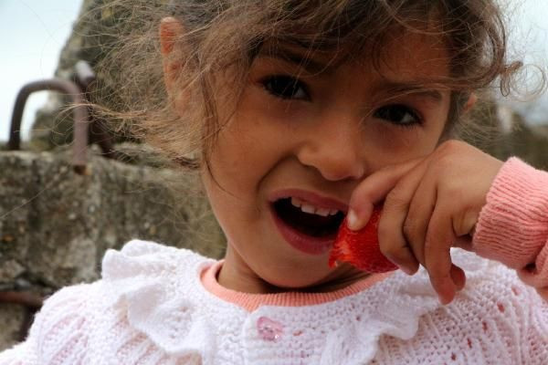 2,5 yıl araştırdı 350 bin lira harcadı! Topraksız tarımla çilek üretti şimdi yurt dışına satıyor - Resim: 4