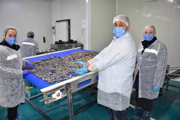 Çin'den Kore'den İzmir'e sipariş yağdı! Türkler yemiyor maskesi bile yapılıyor - Resim: 1