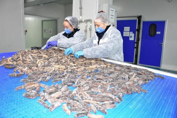 Çin'den Kore'den İzmir'e sipariş yağdı! Türkler yemiyor maskesi bile yapılıyor - Resim: 3