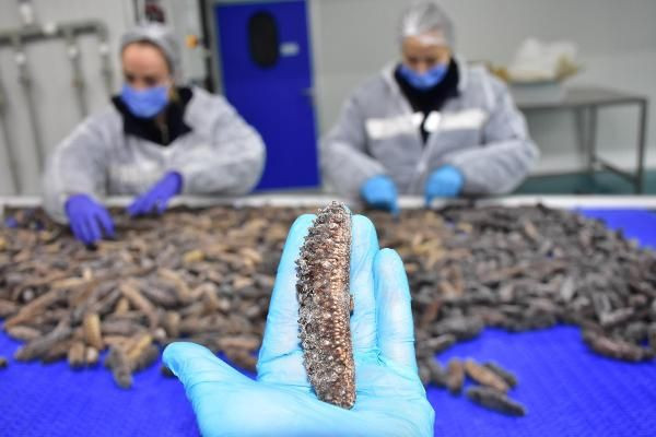 Çin'den Kore'den İzmir'e sipariş yağdı! Türkler yemiyor maskesi bile yapılıyor - Resim: 2