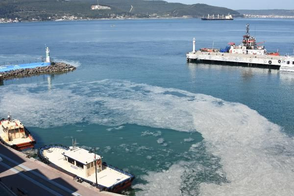 Çanakkale Boğazı'nda korkutan görüntü! Ağlara yapışıyor gözlerini tıkıyor - Resim: 4
