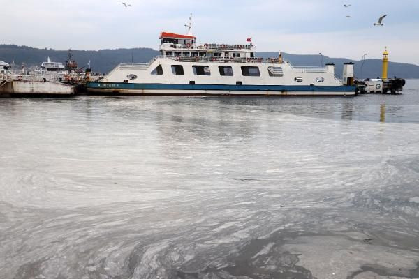 Çanakkale Boğazı'nda korkutan görüntü! Ağlara yapışıyor gözlerini tıkıyor - Resim: 1