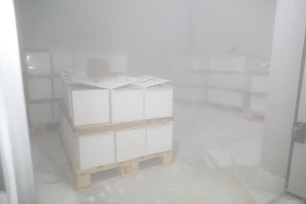 2,8 milyon doz BionTech aşısı Türkiye'de! Sağlık Bakanlığı paylaştı -80 derecede saklanıyor - Resim: 1