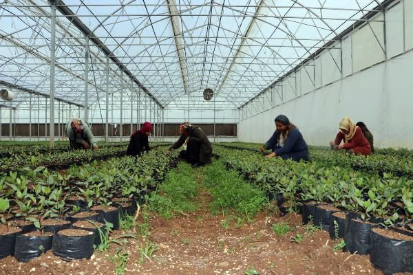 Gaziantep'te 7 kadın kurdu 200 bin adet ürettiler! Almanya sıraya girdi - Resim: 1