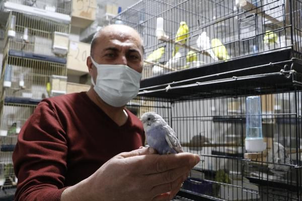 Çanakkale'de devlet memuru hobi olarak başladı! 10 bin liraya kadar satılıyor - Resim: 1