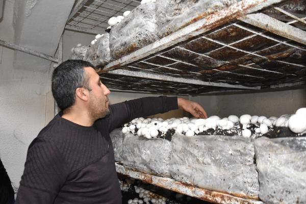 Bitlis'te kendi işini kurdu yılda 240 ton satıyor! Dört bir yandan sipariş yağıyor - Resim: 3