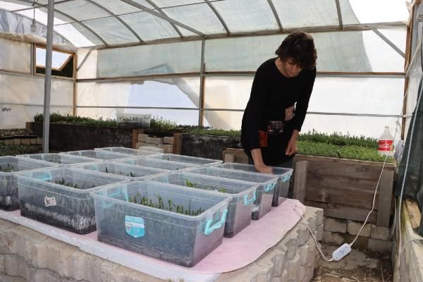 Battaniye sayesinde 80 bin TL kar etti! Hatay'da pes etmeyip yaptı: Kimse yetiştiremiyor - Resim: 4