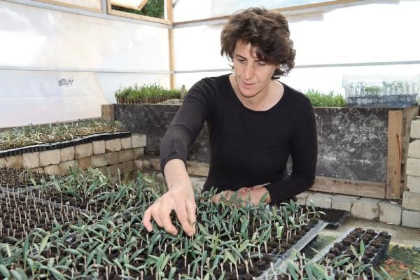 Battaniye sayesinde 80 bin TL kar etti! Hatay'da pes etmeyip yaptı: Kimse yetiştiremiyor - Resim: 1