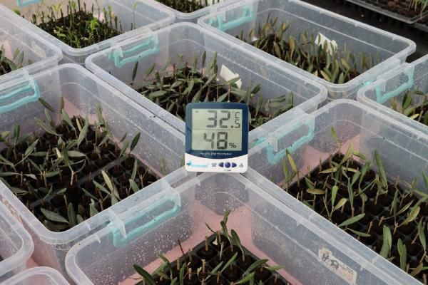 Battaniye sayesinde 80 bin TL kar etti! Hatay'da pes etmeyip yaptı: Kimse yetiştiremiyor - Resim: 3