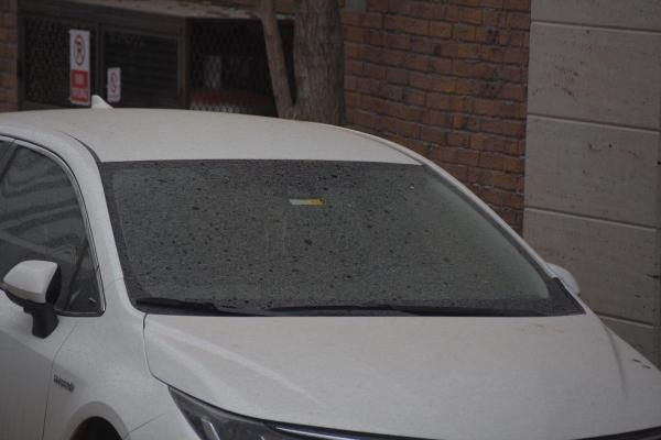 Prof. Dr. Doğan Yaşar'dan toz taşınımı uyarısı: Pazara kadar sürecek - Resim: 1