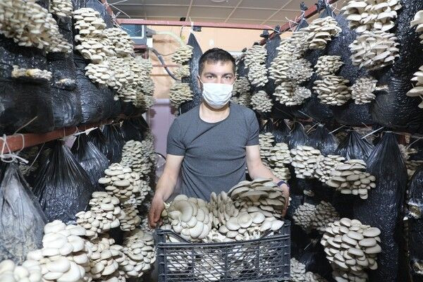 Arkadaş tavsiyesiyle Şırnak'ta üretime başladı! Köyünde 16 ton kapasiteli tesis kurdu - Resim: 1