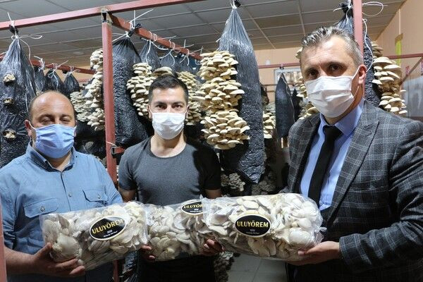 Arkadaş tavsiyesiyle Şırnak'ta üretime başladı! Köyünde 16 ton kapasiteli tesis kurdu - Resim: 2