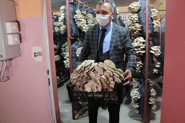 Arkadaş tavsiyesiyle Şırnak'ta üretime başladı! Köyünde 16 ton kapasiteli tesis kurdu - Resim: 4