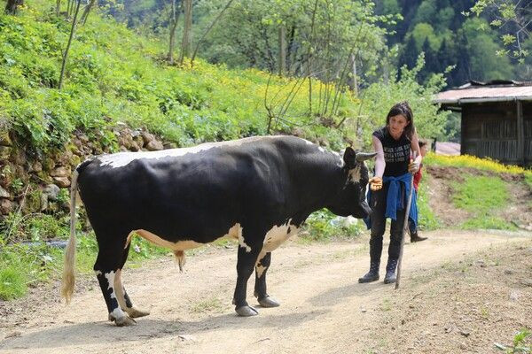 Artvin'de görenler 'erkek işi' diyor! Yüz binler onu takip ediyor tek bir hayali var - Resim: 3